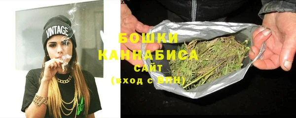 прущий лед Бородино