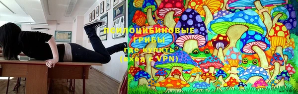 прущий лед Бородино