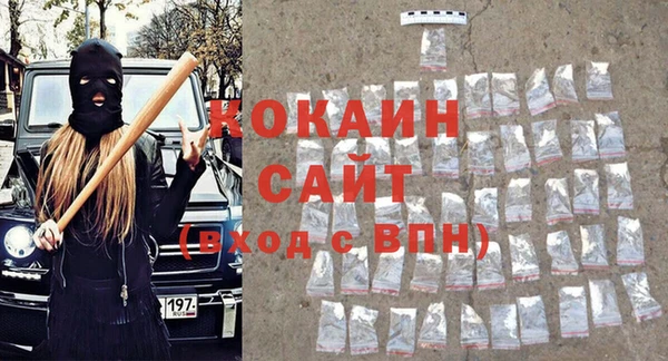 прущий лед Бородино