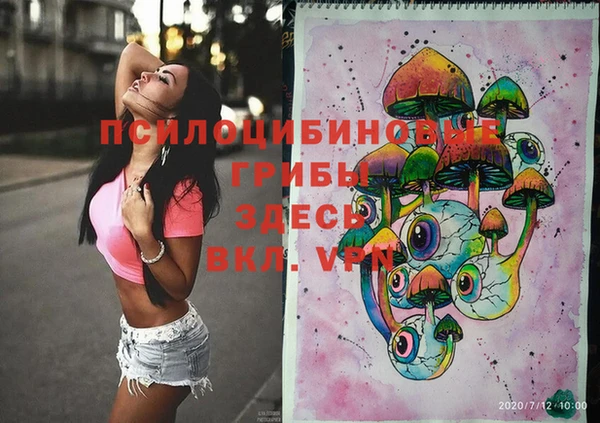 прущий лед Бородино