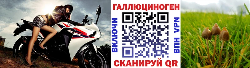 Купить закладки  Вельск  Псилоцибиновые грибы Cubensis 